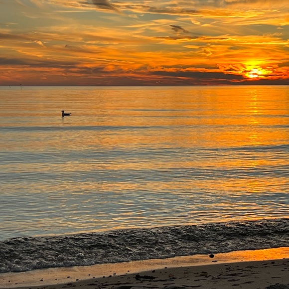 Meet your Posher, Doreen - Picture 5 of 5